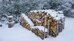 How to dry firewood in winter? The Canadian method of drying firewood in the sun. Simple, effective, and ideal for soft wood.