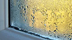 Why plastic windows cry in winter: and what to do to make condensation disappear forever