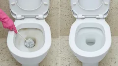 Let your toilet clean itself: the easiest way to a fresh bathroom
