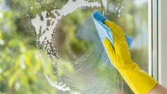 I brew a mug of tea and wash my windows for the holidays. They are twice as clean as with liquid, and the house smells like a hotel.