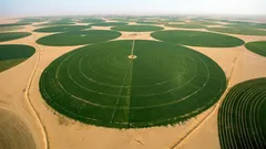 Satellites captured how Egypt is greening the desert